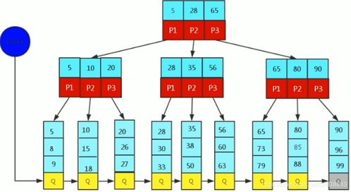 數(shù)據(jù)庫(kù)高級(jí)特性 索引、視圖、存儲(chǔ)函數(shù)及數(shù)據(jù)處理服務(wù)